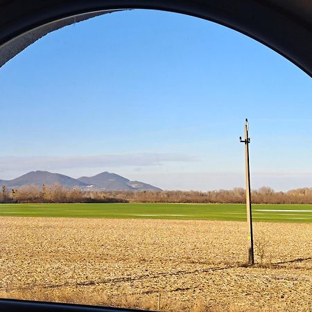VajdácskaKisdiofa Panzio Es Vendeglo住宿加早餐旅馆 外观 照片