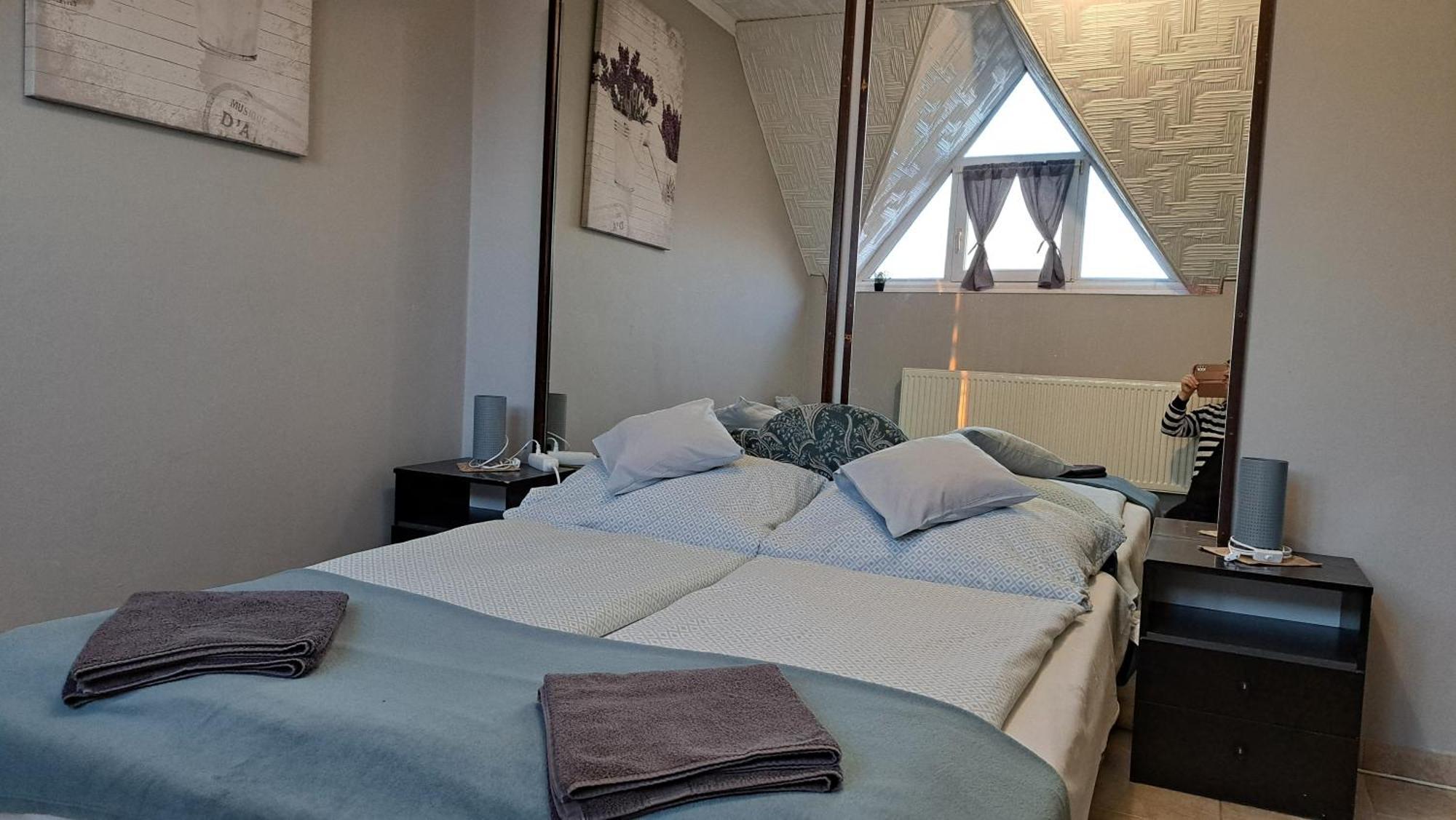 VajdácskaKisdiofa Panzio Es Vendeglo住宿加早餐旅馆 外观 照片