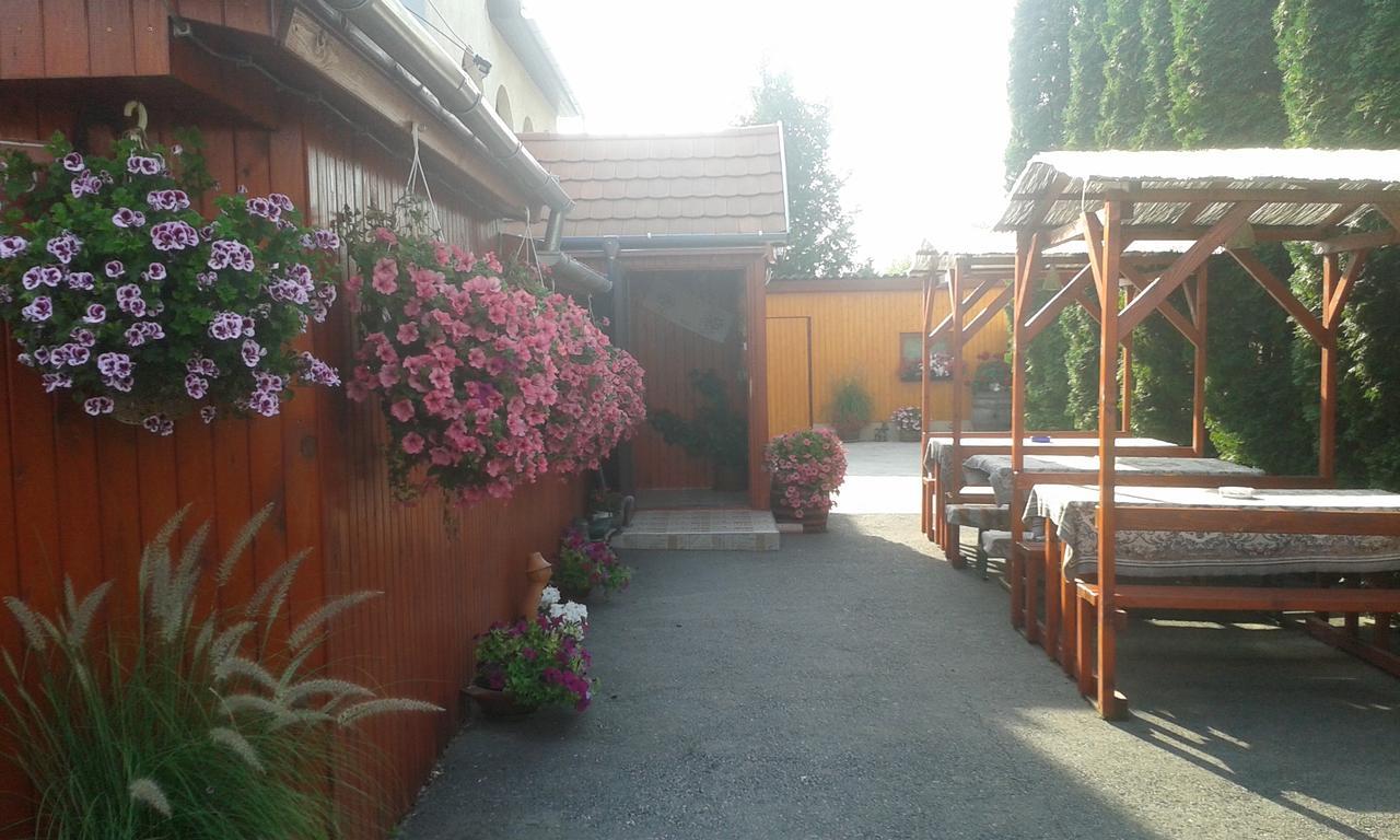 VajdácskaKisdiofa Panzio Es Vendeglo住宿加早餐旅馆 外观 照片